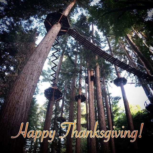 We’re thankful for our trees! We’re thankful for our stellar staff! And for our amazing guests. #thankful #thanksgiving #redwoodtrees #creation #stellarstaff #mhadventurestaff #sequoiaaerialadventure ift.tt/2S8NrSu