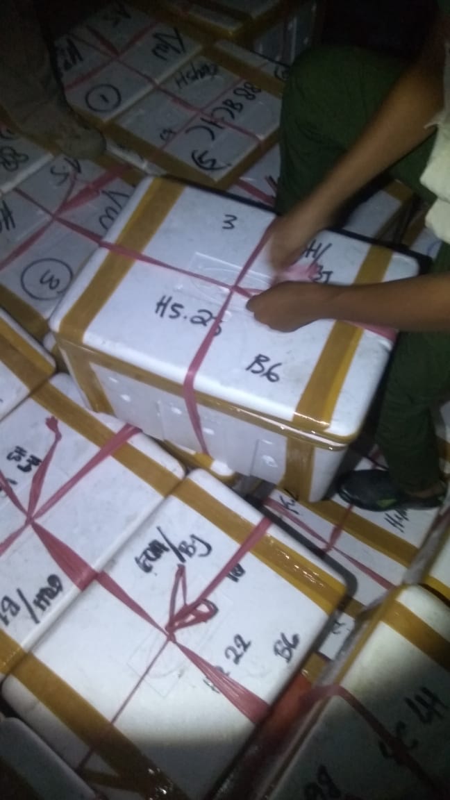 BKIPMTarakan's tweet photo. 22.11.2018 #OneHealthKIPM
Pemeriksaan kesesuaian jenis dan jumlah kepiting bakau 300 koli. Tujuan Malaysia.

@kkpgoid @rinajanwar2201 @HumasBKIPM @Puskari_BKIPM @Umar_Tonra https://t.co/5EokQpTu3r