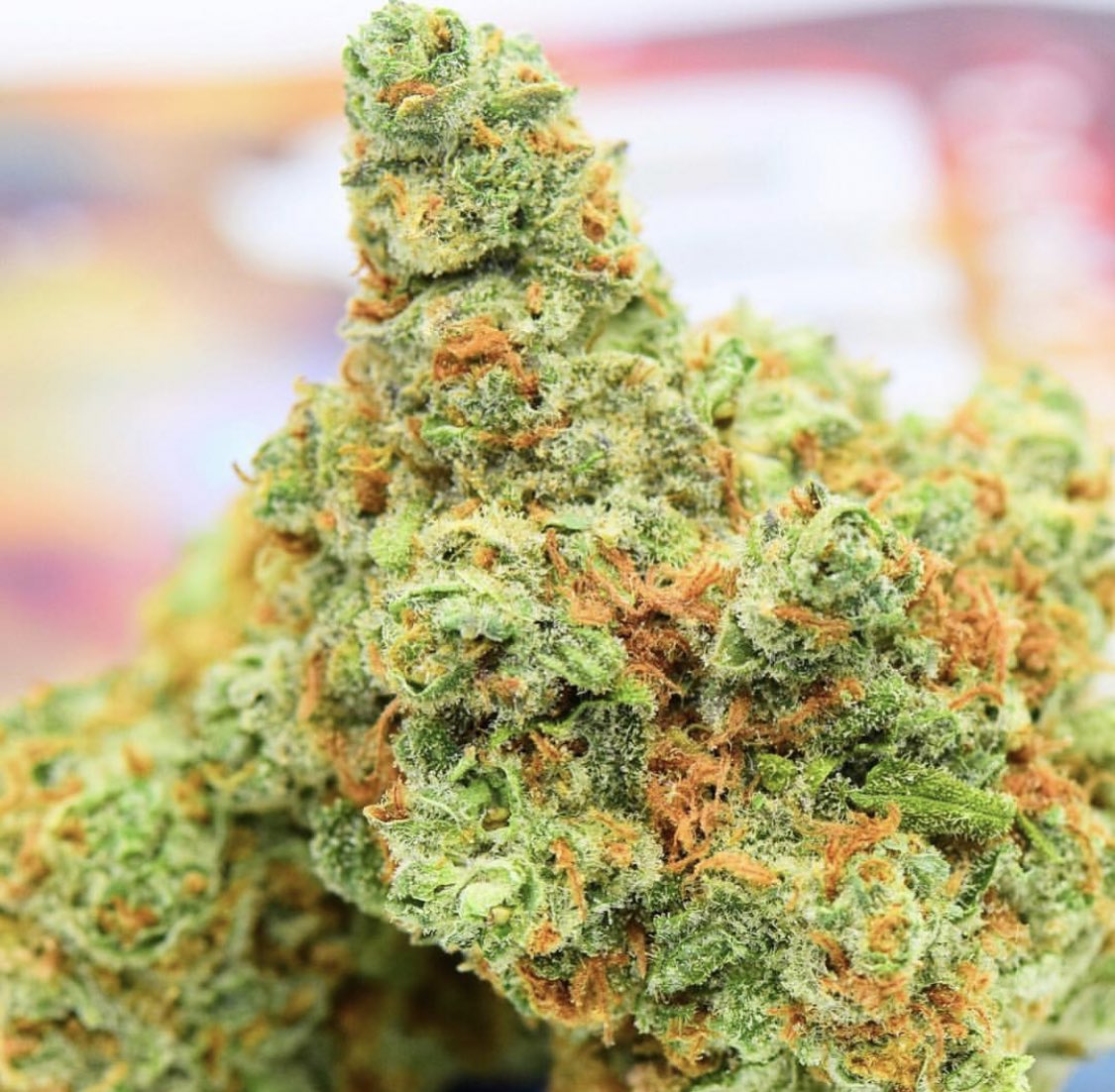 mzstoned's tweet photo. Depression can bring you down, cannabis can lift you up. https://t.co/gSa0TsOxlE