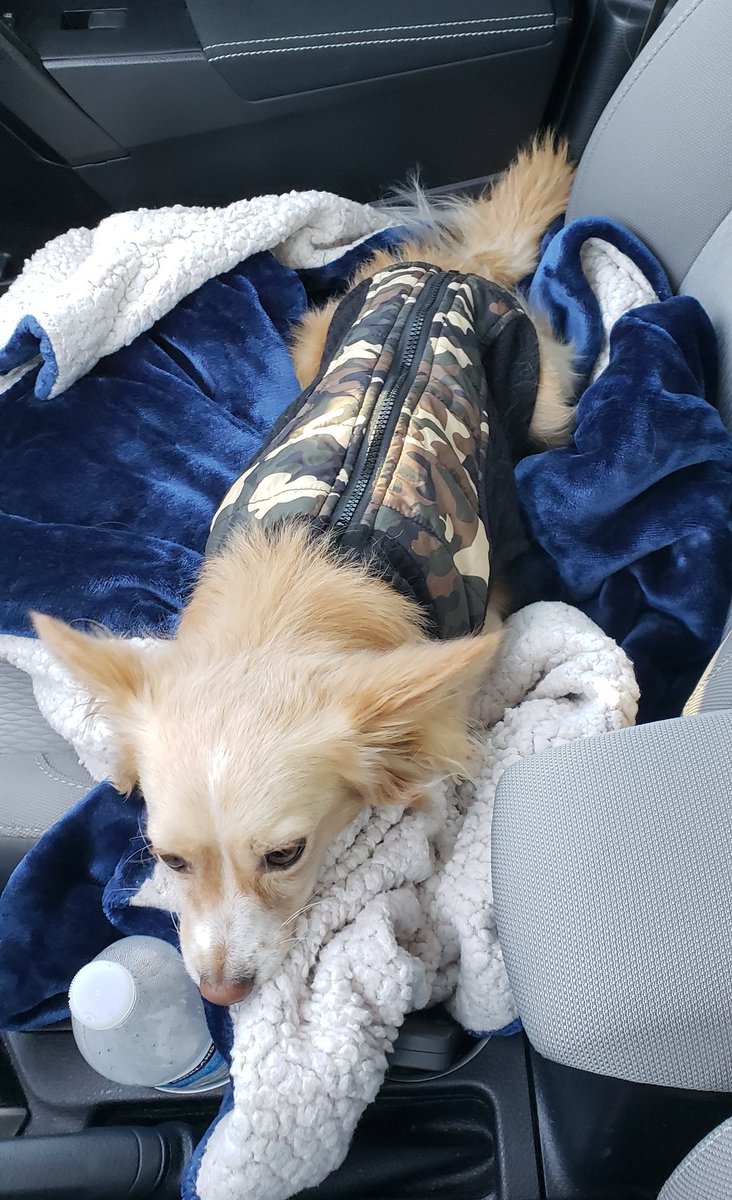 Happy Thanksgiving🧡