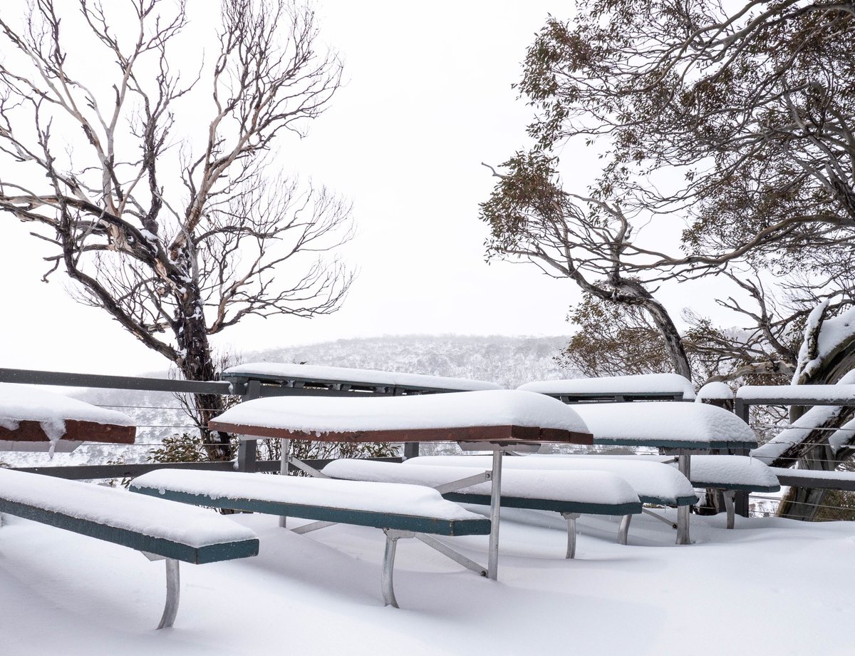 PerisherResort's tweet photo. More snow overnight, who’s feeling the chill 🥶 https://t.co/BzUT2YGKi5