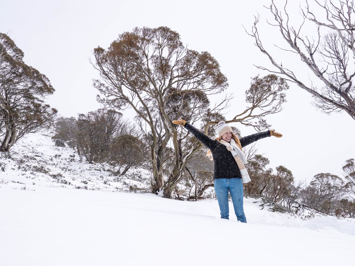 PerisherResort's tweet photo. More snow overnight, who’s feeling the chill 🥶 https://t.co/BzUT2YGKi5