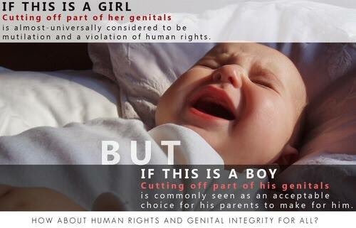 qw_jessie's tweet image. #i2 #intactivists #intactivism