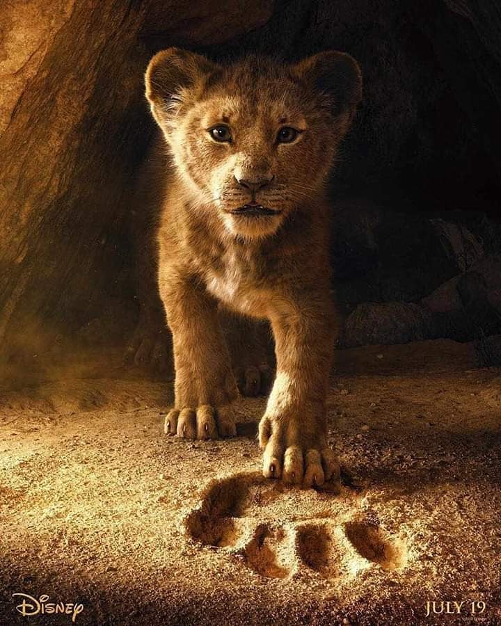 EdvaldoSalles1's tweet photo. DESESTRUTURADO depois desse trailer e desse pôster de "O Rei Leão". 🦁👑 #reileao #TheLionKing #disney #feededigno https://t.co/r9J9dlSRTQ