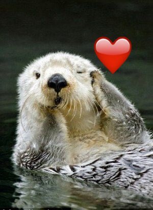 コスプレイヤー菌烨takoのTwitter画像13