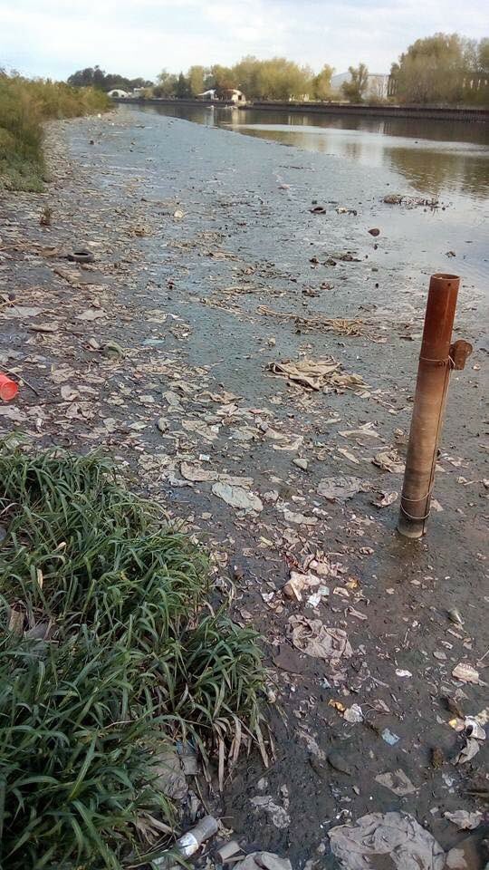 5 días entrenando en la Pista Nacional de Remo 🇦🇷 -> 7 remeros de Seleccion descompuestos! 👎🏻