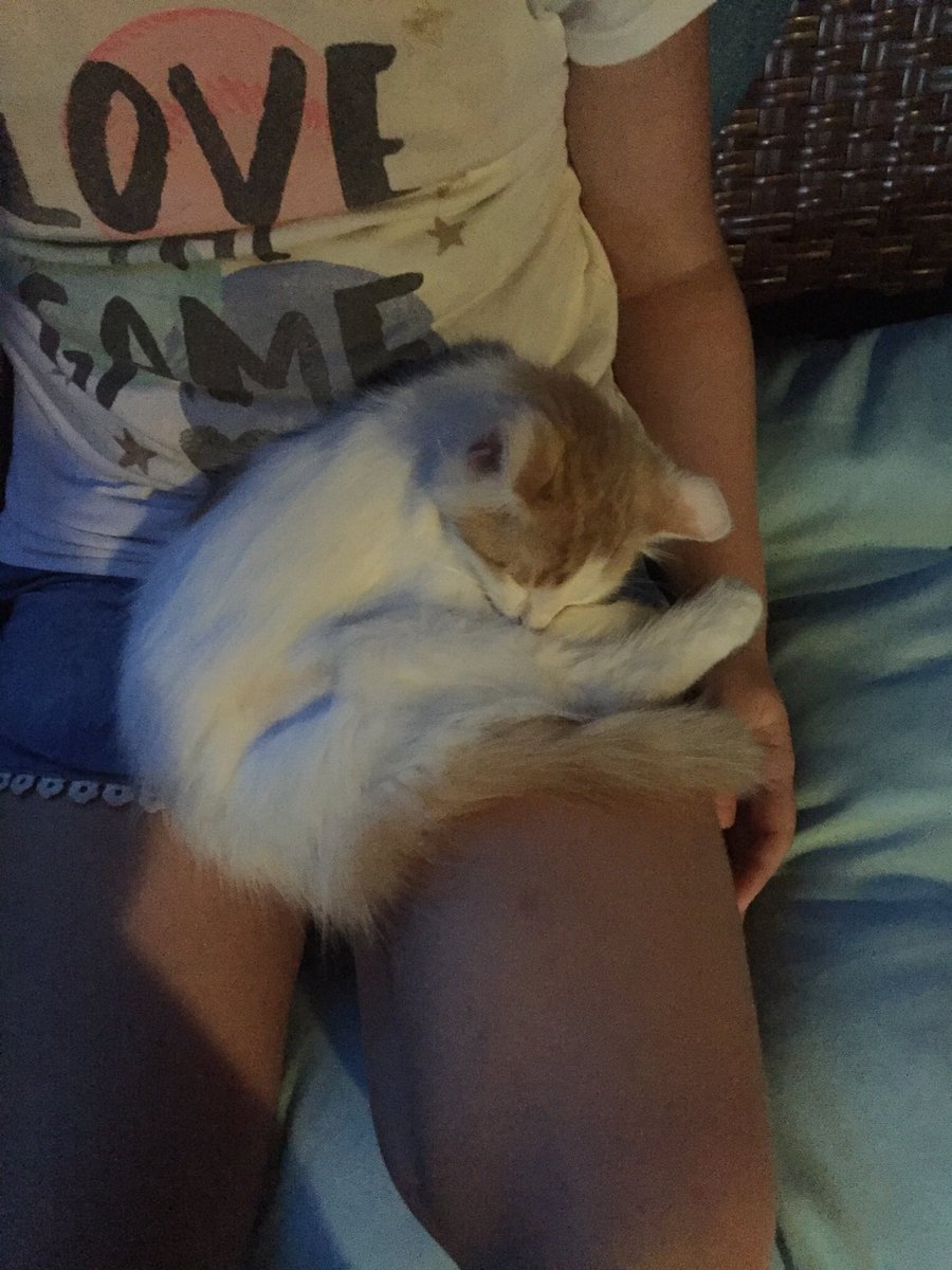 The cuteness is real