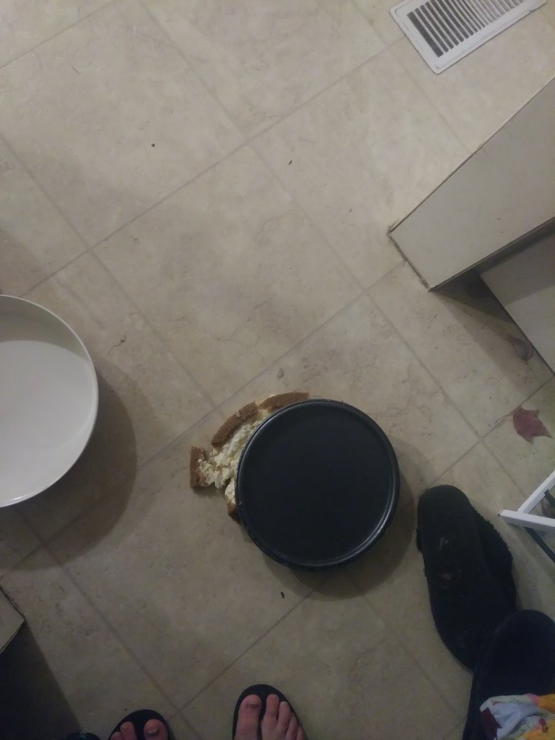 This is my cheesecake. On the ground. #ThanksgivingFail