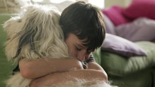 matchfur's tweet photo. Kids trust their pets more than they trust their siblings. Children going through a difficult time are more likely to confide in and seek support from their animal companions than brothers and sisters

https://t.co/HYeMTvqv5N https://t.co/WjSuwfR8N0