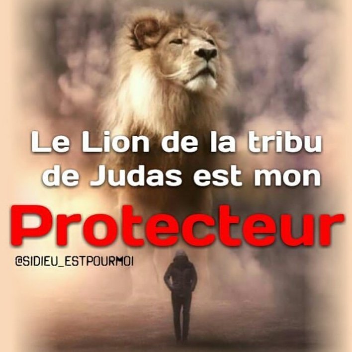 Sidieu Estpourmoi En Twitter Le Lion De La Tribu De Judas Est Mon Protecteur Sdepm T Co Vbvsysc86t Twitter