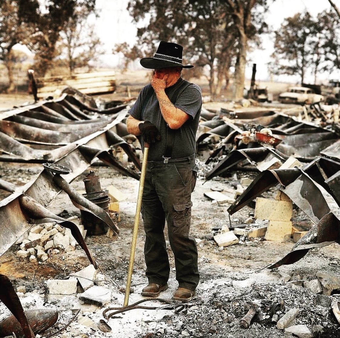 TomiLahren's tweet photo. Please keep the people of California in your hearts and prayers. Many have lost everything and will spend this Thanksgiving without much. https://t.co/Q8aoCC5kHD
