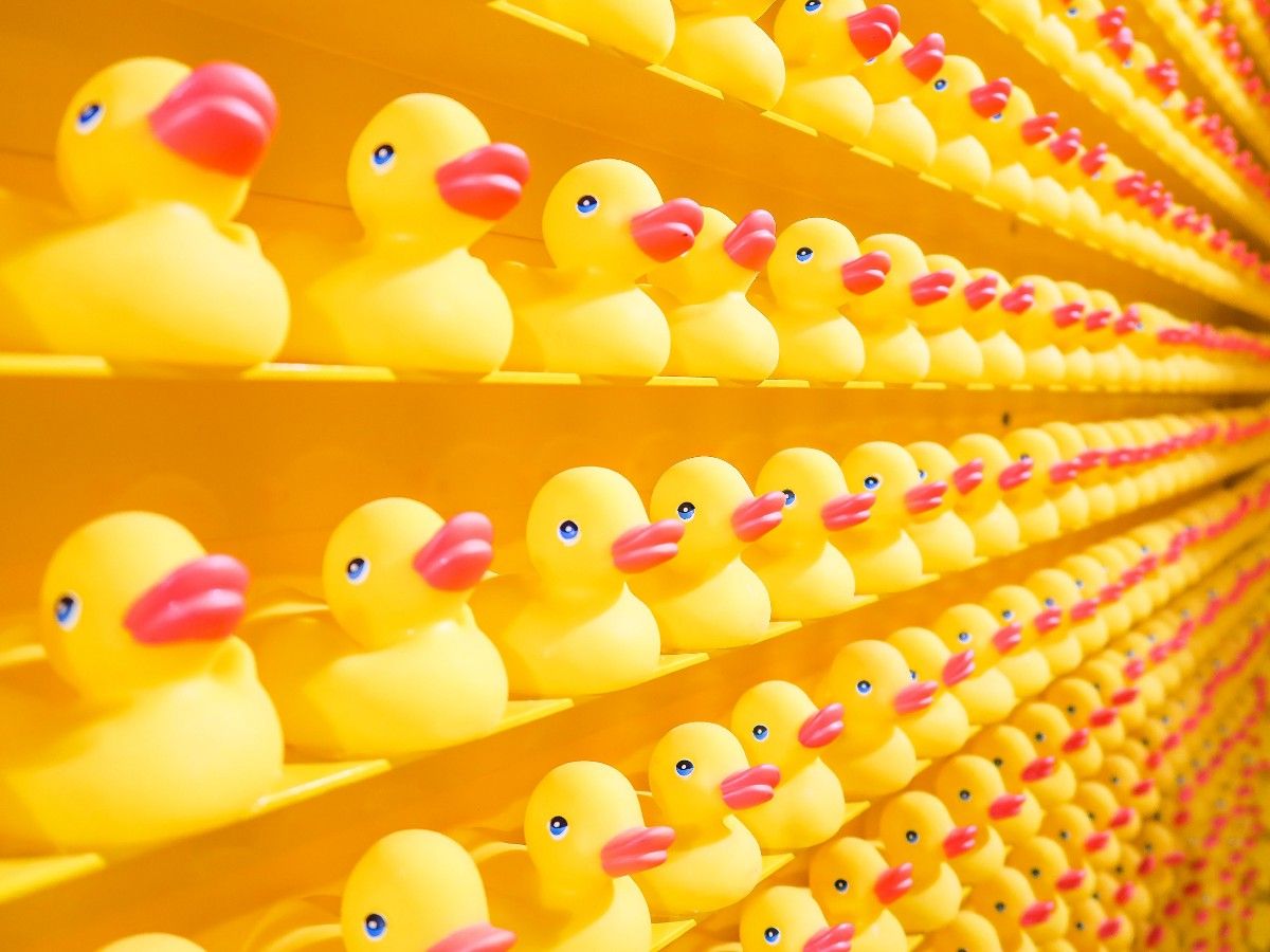 LinhContent's tweet photo. How To Be Different, Not Better https://t.co/HRfgs7FwPv "Your brand is a belief. Belief is the new benefit." by @TripleJas 

#branding #marketing https://t.co/Nf17V7qVPf