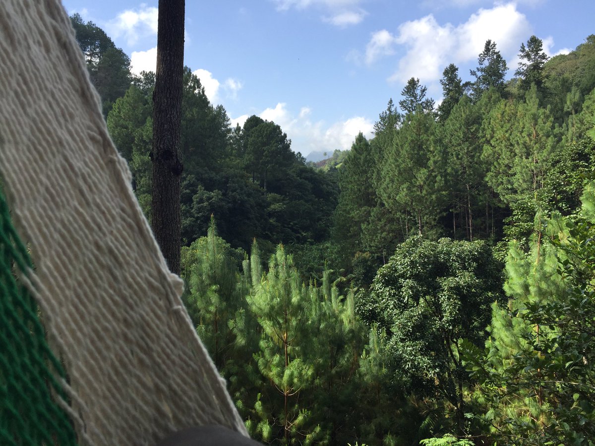 corazon_bosque's tweet photo. “Anak’uan  ix k’utankil ix yebal  b’antiox” que en Kekchí quiere decir, “Hoy es el día de dar Gracias” en #CorazonDelBosque damos gracias por la maravilla de la naturaleza y la oportunidad de compartirla y cuidarla. https://t.co/j2dzrhfL66