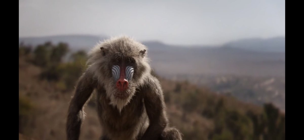 ดูเทรลเลอร์ใหม่ของ Lion King ภาค live action กันรึยังครับ :)   youtu.be/4CbLXeGSDxg