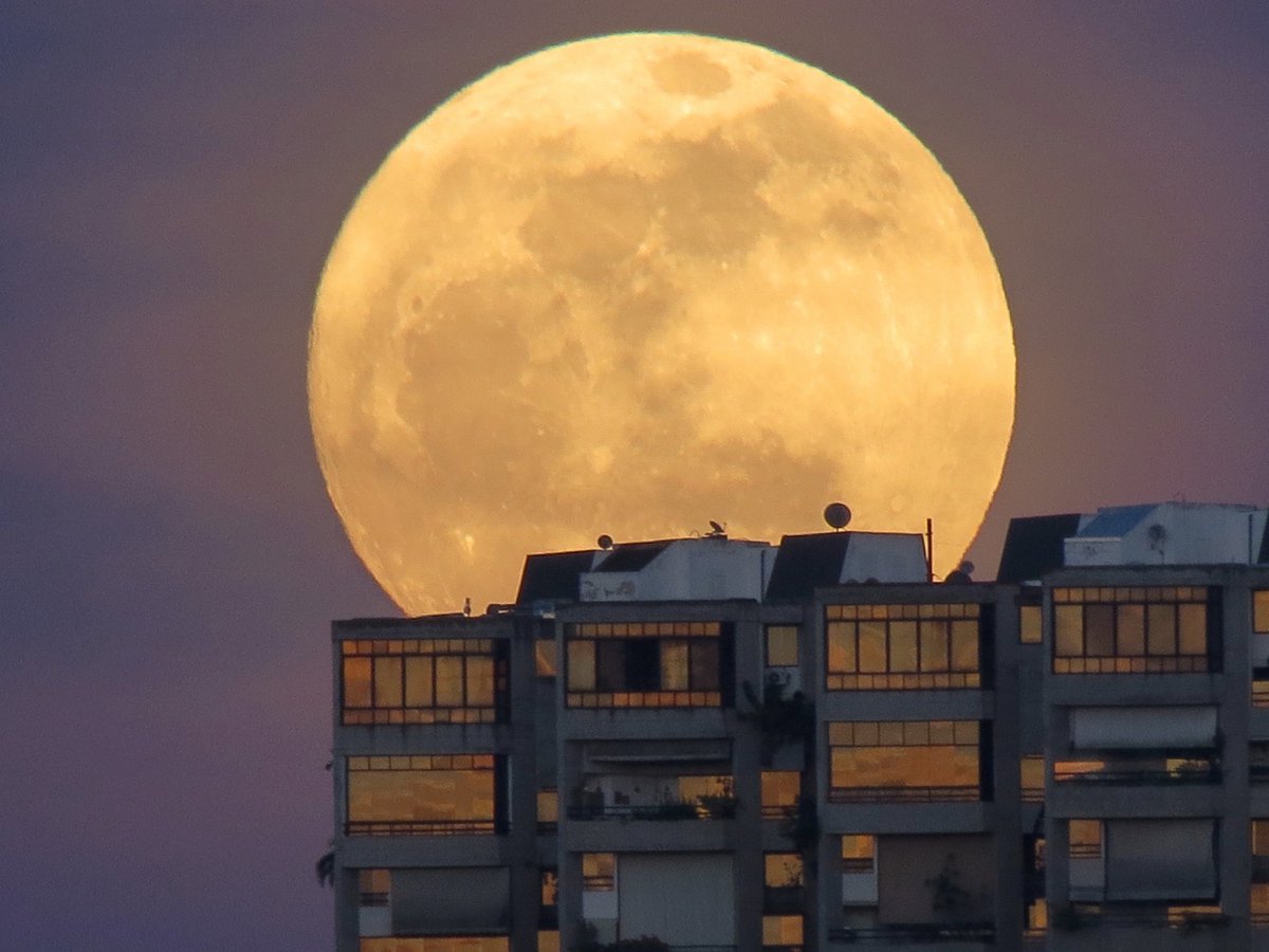 Isidro Nando Pestana tweet media