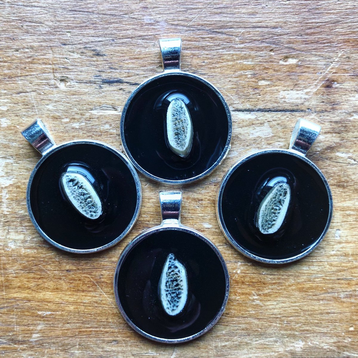 JCoddities's tweet photo. New human rib bone slice pendants by @AntisocialJC ✨ just in time for our holiday market on December 9th! #jcodditiesmarket https://t.co/XkKHWTXlhA