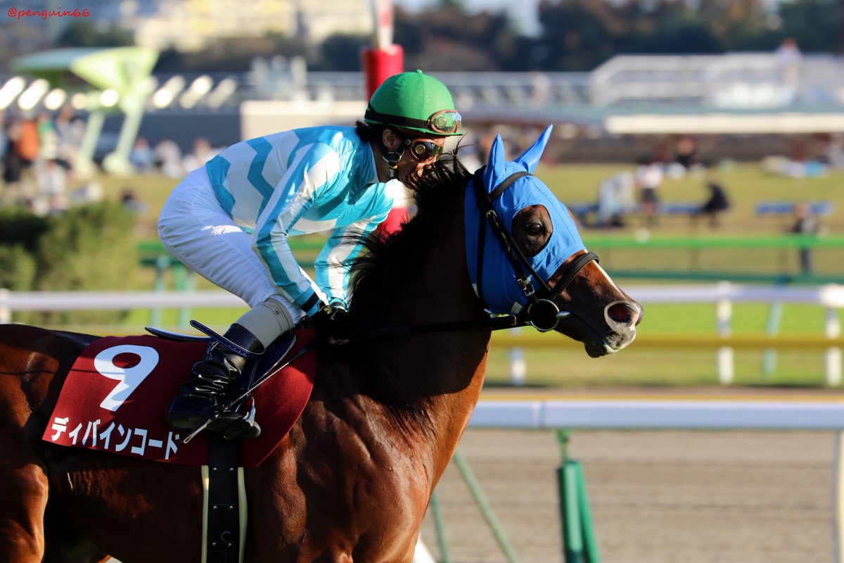 ぺんぎんさん ちょっとパドックで困ったような顔をするところ やさしい担当さんとのコンビもステキでしたね マツリダゴッホ産駒でロードクエスト マイネルハニーちゃんに続いて頑張ってほしいこでした いまはただ ありがとう という言葉しかでてき
