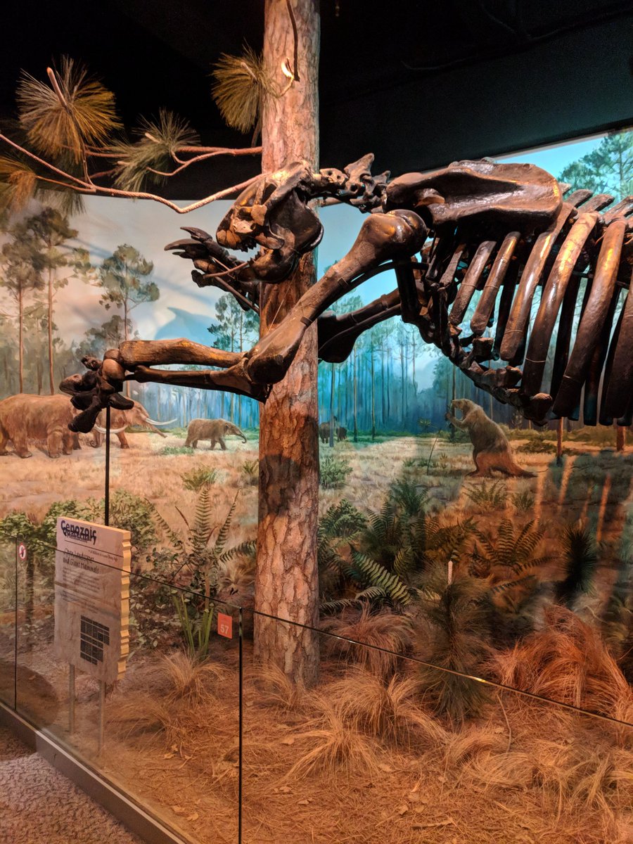 geakeylaura's tweet photo. 2018 has brought so many museum opportunities! Here are a few! 
#Museum30 #day20 #last12months https://t.co/RRDYYA9dsM