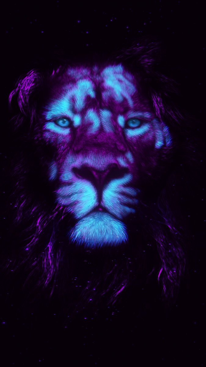 levi_stocke's tweet photo. 🦁 https://t.co/50tVFe0UBy