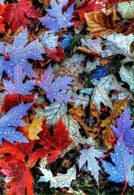 PicturesOfLife2's tweet photo. #Thankful #ThingsNoOneEverToldMe #Adventure #travelling #takingpictures #amazingworld #love #my #job #PhotoDeveloping #photoshoot #photographers https://t.co/fTIlXTa3JD