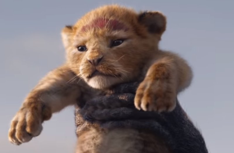 jacarandafm's tweet photo. #LionKing trailer has the world roaring https://t.co/5EV6QwX5q3. https://t.co/Uu924OW3Ci