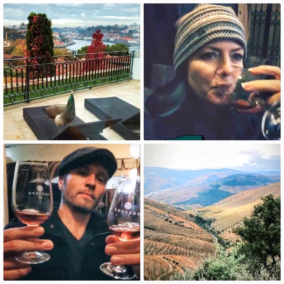 Don't miss anything of <a href="/CleverDever/">Juliana Dever</a> and <a href="/seamusdever/">Seamus Dever</a> exploring Portugal!! 🇵🇹 👉instagram.com/cleverdeverwhe… #travel #visitPortugal #winetravel