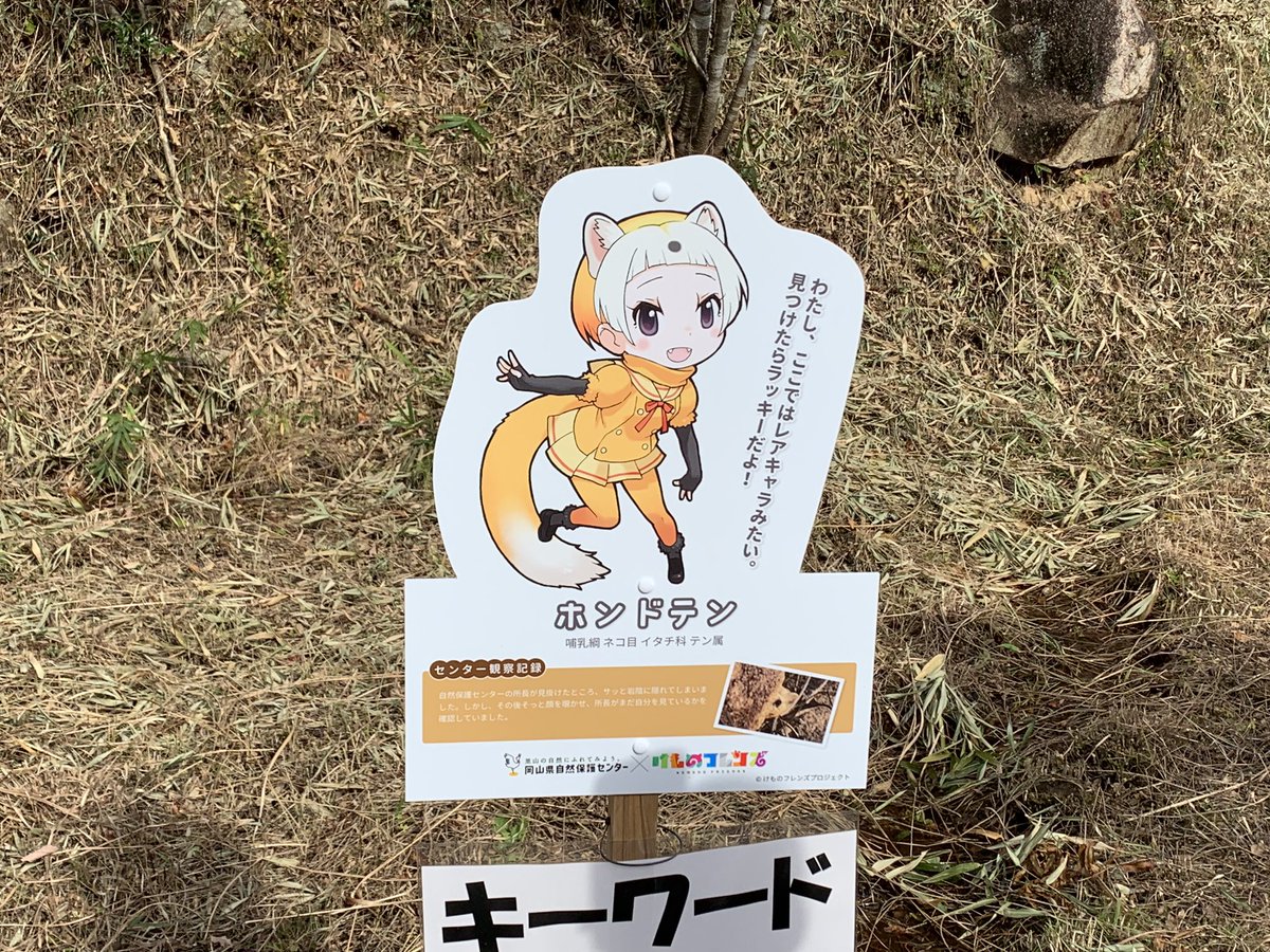 岡山県自然保護センター けものフレンズ キーワードラリー Togetter 岡山県自然保護センター けものフレンズ キーワードラリー Togetter