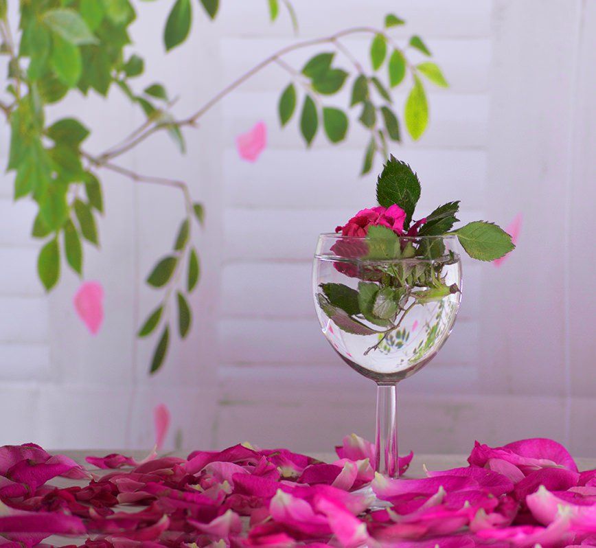 RT “dz youcef <a href="/azzaziyoucef_dz/">dz youcef</a> We do it just as much as we are.
and what we are depends on what we think” buff.ly/i5M57S
<a href="/parties_bloom/">Parties in Bloom</a> #parties #bridalshower #florist