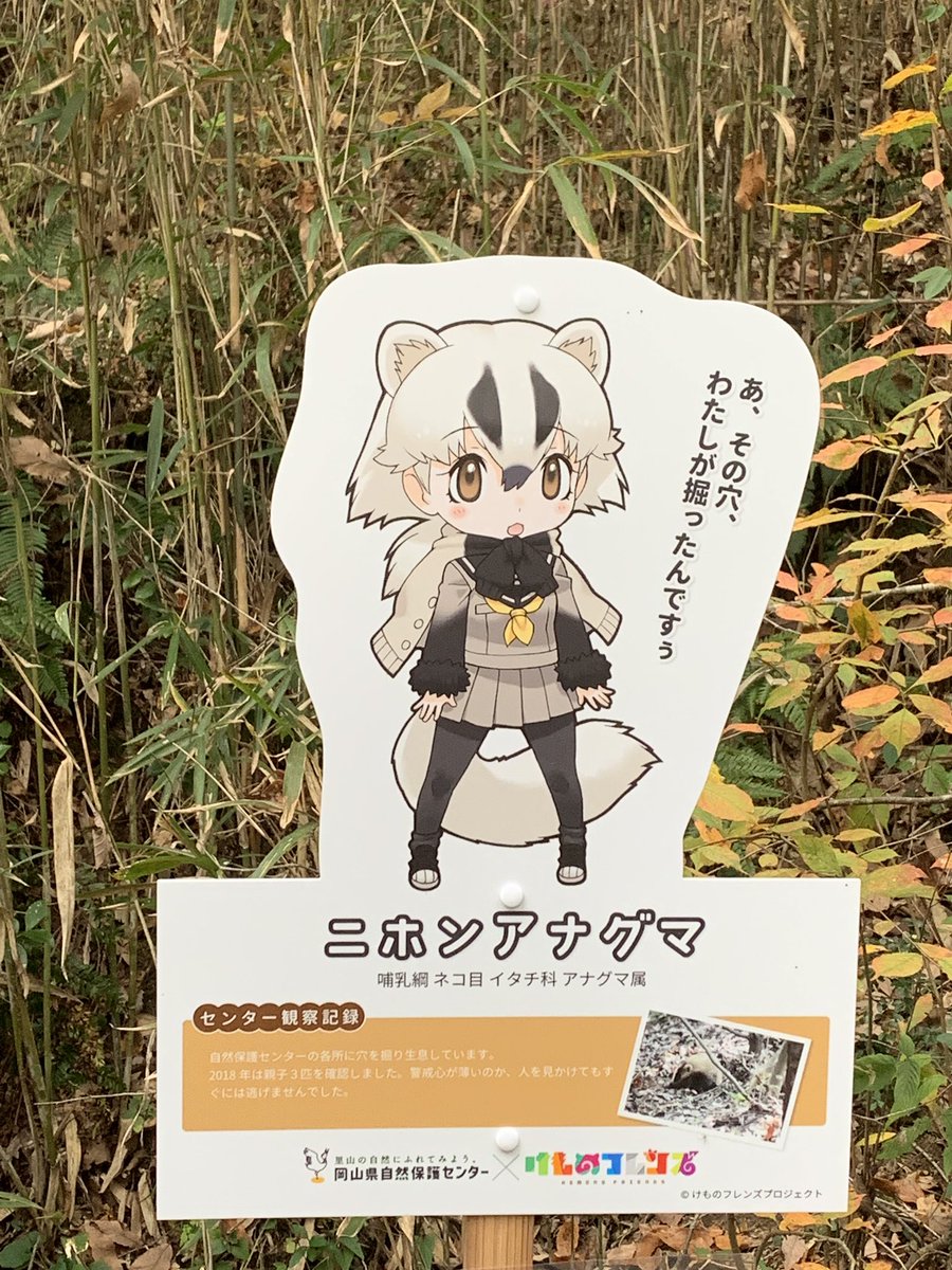岡山県自然保護センター けものフレンズ キーワードラリー Togetter 岡山県自然保護センター けものフレンズ キーワードラリー Togetter