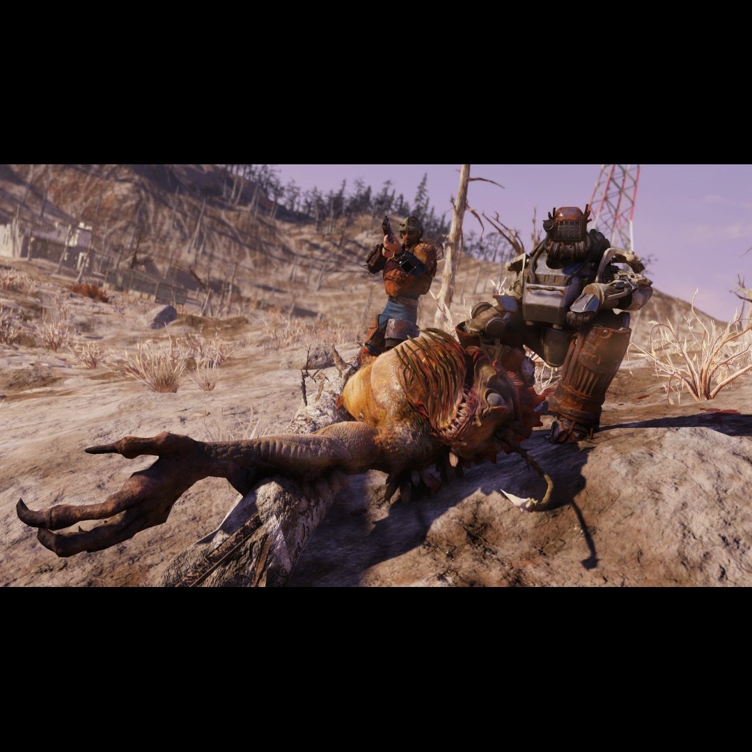 hitman0769's tweet photo. Recent Hunting Run : Multiple Angler Kills, 10+ Honey Beasts, Gulper Kills, Gnally Gaster Kills, Super Mutants, and more. Main area: Toxic Valley. #Fallout76 https://t.co/OYj91q8FYs