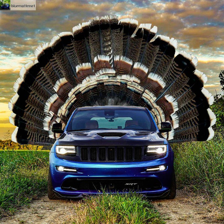 Best day to fly thanksgiving week