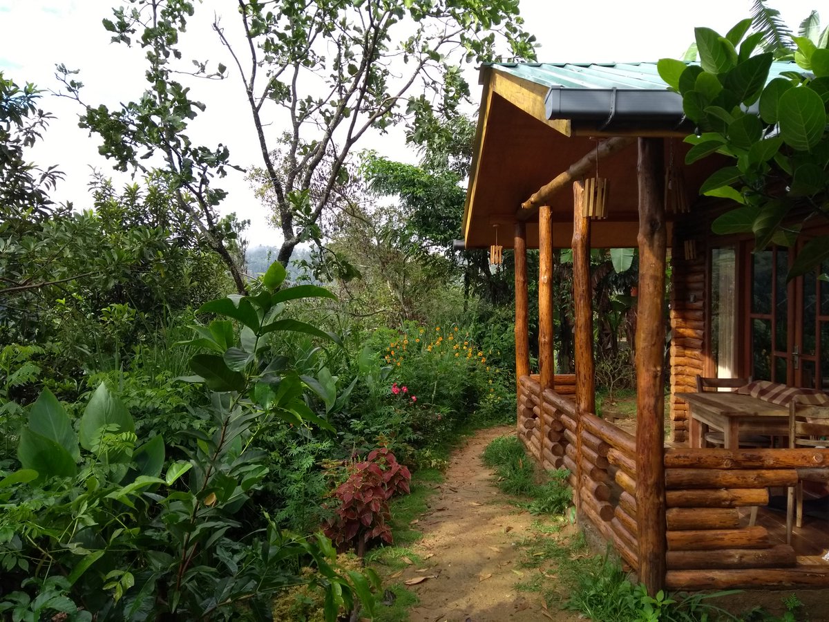 reiserauschen's tweet photo. An das Frühstück auf @SriLanka könnte ich mich gewöhnen... 😊 Heute in #Ella - in einem schönem Bungalow mit tollem Ausblick... https://t.co/0YvPja4wB0