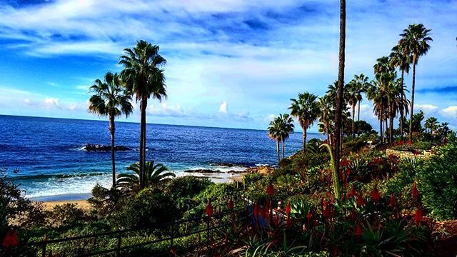 LagunaBeachComm's tweet photo. Happy Thanksgiving 
#lagunabeachcommunity https://t.co/SPM07TGyeh