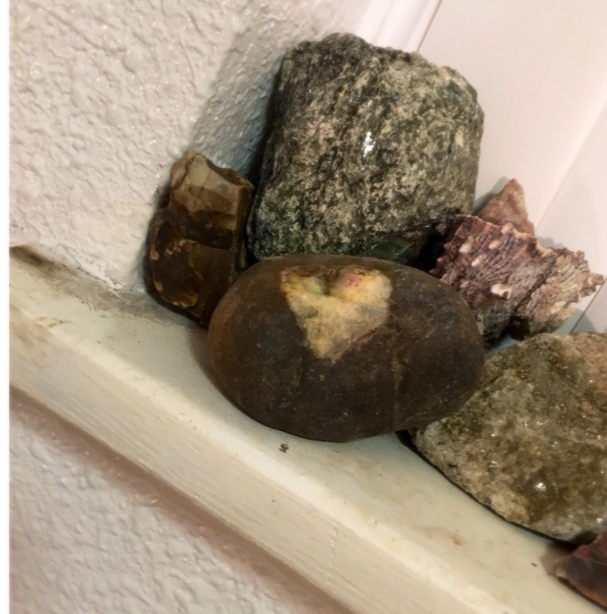olivia40138400's tweet photo. https://t.co/g0fTXiWBQI #heartshapedrocks #rockart #handmadegift #handmadewithlove #UniqueGifts #rocklovers https://t.co/TBMNcaZyKT
