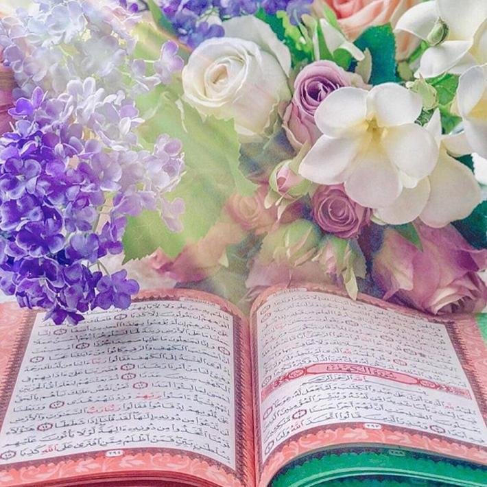 اليــوم جمعه والعرب تطلب الخير 
والــعبد.. مــاله غيـــر .. ربــه ودينه 

يا رب تــرزقني ب جنتــك .. لاا غــير 
وانـت الكــريم اللـي ما تبخل يدينه🤲🏻♥️

        ﺟمعہَ طيبہَ 💖