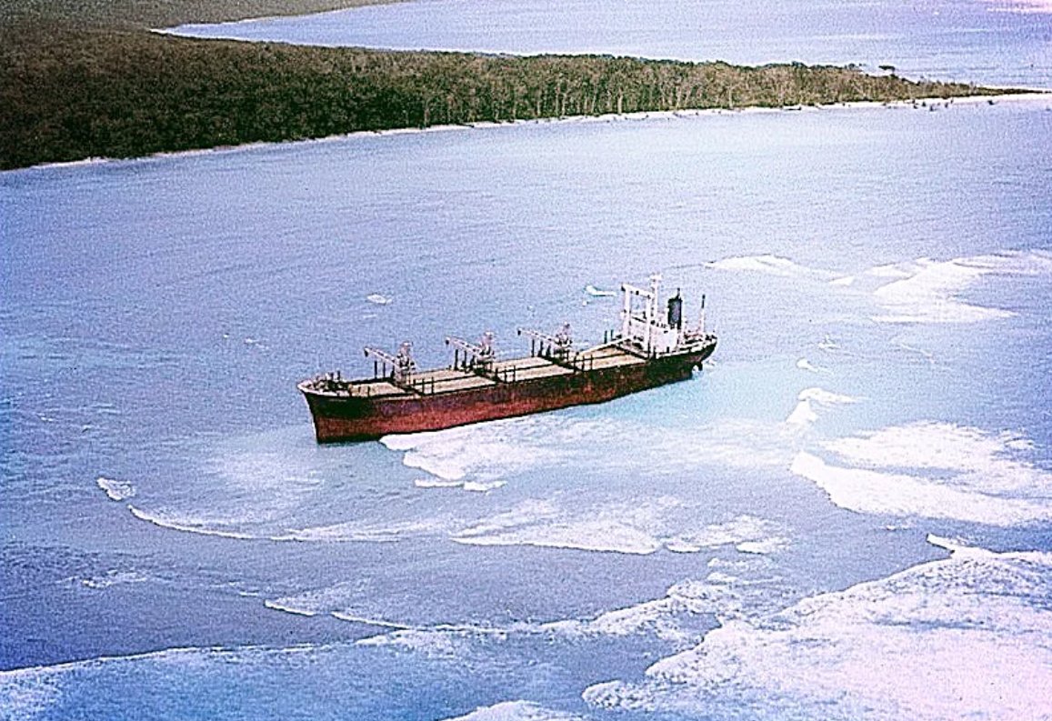 In 1981, a cargo ship named The Primrose ran aground on the coral reef surrounding North Sentinel. The crew radioed for assistance and settled in for a long wait. But in the morning they saw 50 men with bows on the beach, building makeshift boats.