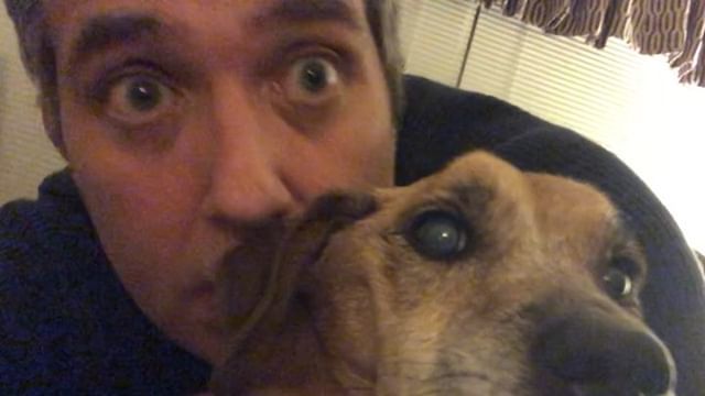 MrCraigBierko's tweet photo. #yourdailyboo #pet #pets #dog #dogs #dogsofinstagram #thanksgiving #thanksgivingday https://t.co/vP5icsEUZ2 https://t.co/xEKfDWsd50