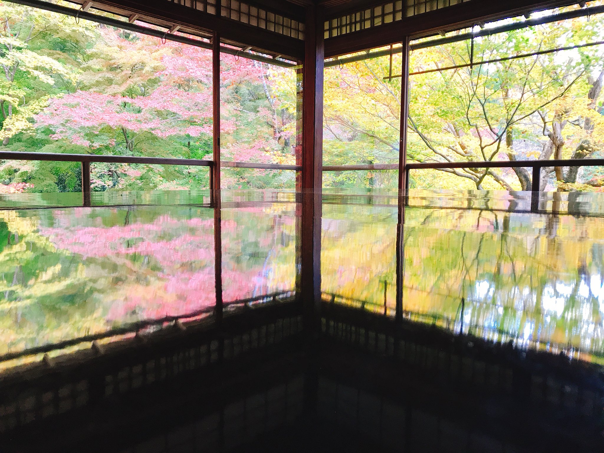 とりっぴ 京都瑠璃光院デート 想像以上にキレイでした 京都 瑠璃光院 デート 絶景 T Co 5rceymcpif Twitter