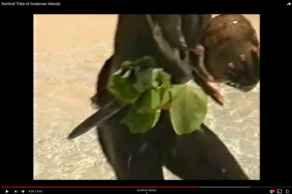 And in those videos, you can see that these pre-iron age people now had metal weapons, like the knife carried by this man. They had scavenged metal from the Primrose and cold-forged it into tools.