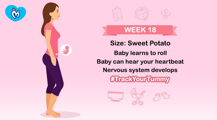 MamyPokoIN's tweet photo. It's the 18th week and your baby is getting stronger and bigger every day. Use #TrackYourTummy to track baby's growth in tummy. Download our App: https://t.co/DotPxeEO4G
#MamyPoko #Unicharm #TrackDevelopment https://t.co/cSPIlLQ9Ct