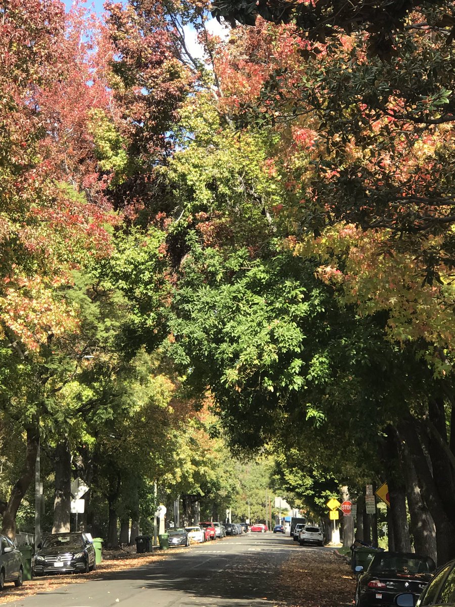 Thanksgiving, Spaulding Square, W. Hollywood