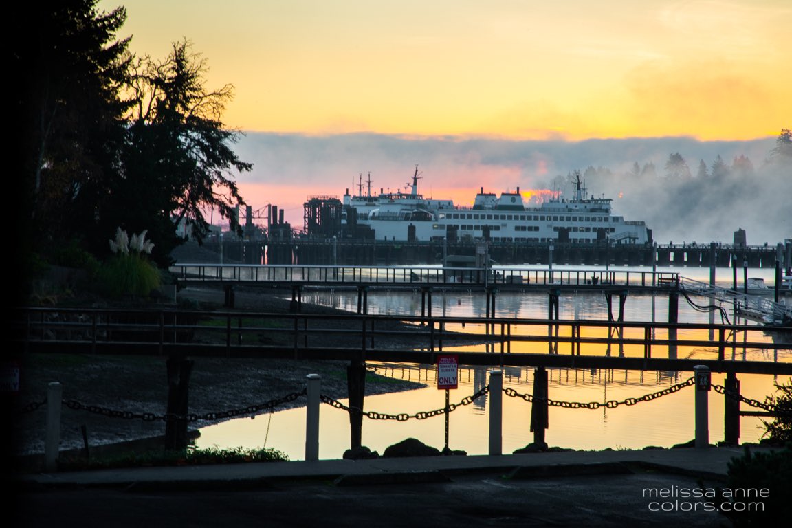 mAColors's tweet photo. I traded in my urban view for something a little different and a lot more inspiring. Welcome {new} home views. I’m giving a lot of thanks. #bainbridgeisland #islandlife #pnwphotographer https://t.co/5lIlzUO4aW