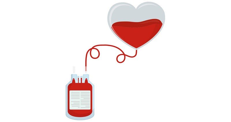 ¡El gran Pepe Piña requiere donadores de sangre para Quéretaro! torosyfaenas.com.mx/el-gran-pepe-p…