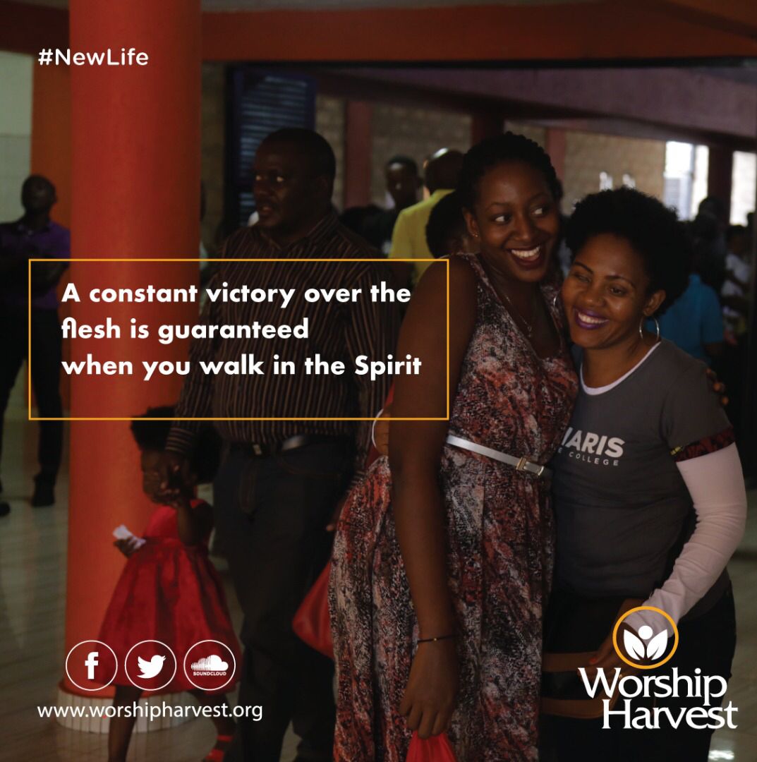 worship_harvest's tweet photo. ๐๐ฝ#ThinkingAnew #NewLife https://t.co/5mvhhauYTG