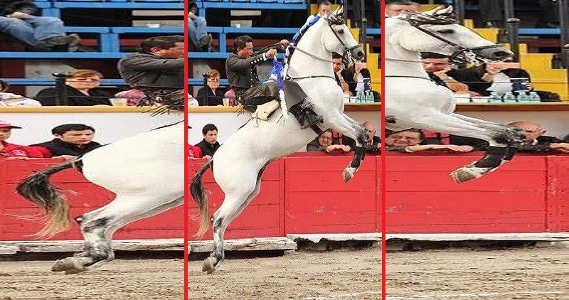 El rejoneador CUAUHTÉMOC AYALA, en pos de la consolidación torosyfaenas.com.mx/el-rejoneador-…