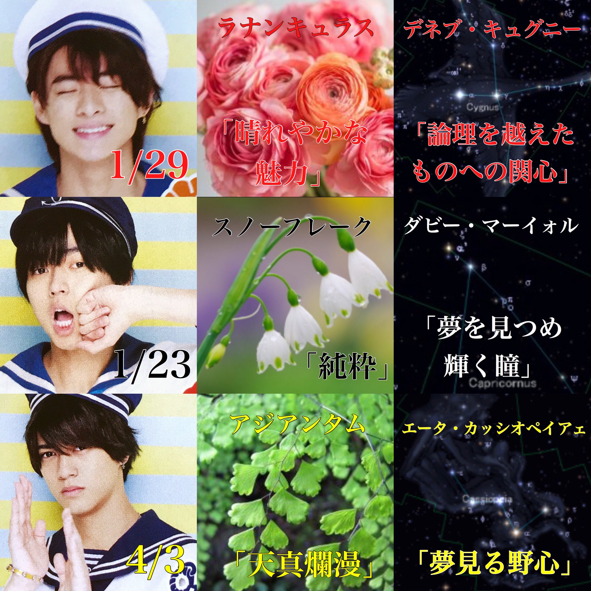 キンプリ厳選動画 A Tuwita まじでかわいい King Amp Princeの誕生花と誕生星 キンプリ T Co Dnz57wdwzx Tuwita