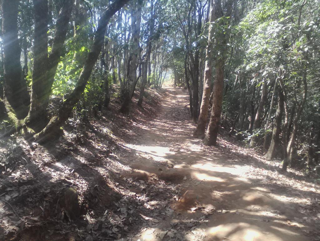 bklamsal's tweet photo. I #advocate #Consciousness for #Reason_based_Choice; #investor_protection, #consciousholiday @nepalholiday_. https://t.co/2BaCTKOPGy