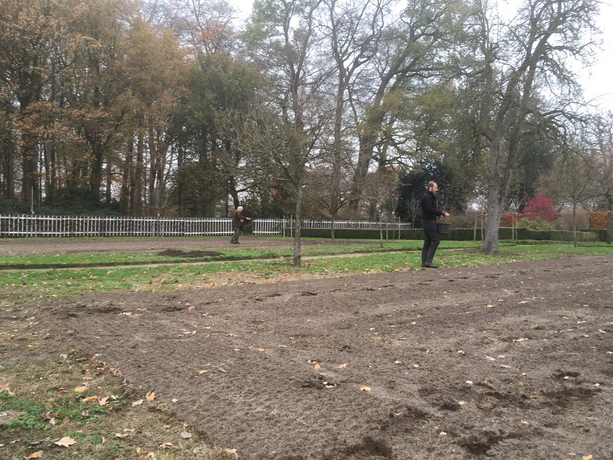 TuinbaasMaarten's tweet image. In de #boomgaard  op landgoed #Velhorst een bloemenmegsel @cruydthoeck gezaaid mede mogelijk gemaakt door donatie van #KnowledgeforNature waar voor dank. Op naar een bloeiend resultaat volgend jaar.