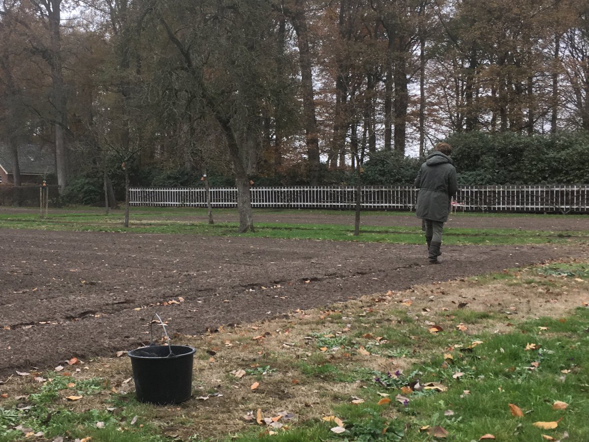 TuinbaasMaarten's tweet image. In de #boomgaard  op landgoed #Velhorst een bloemenmegsel @cruydthoeck gezaaid mede mogelijk gemaakt door donatie van #KnowledgeforNature waar voor dank. Op naar een bloeiend resultaat volgend jaar.