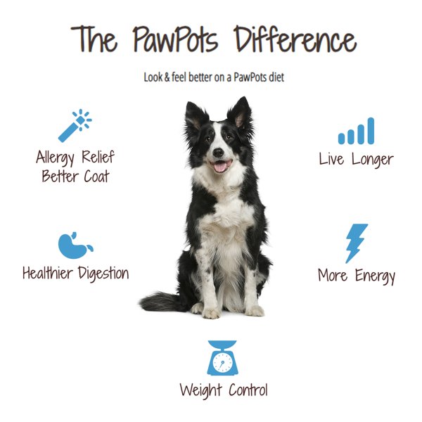 PawPots's tweet photo. Thank you @tiffanychlala for writing about PawPots😙😙
We will always provide the best fresh &amp; complete food for our furry friends in return for part of the love they give us🐶🐶🐾😊 https://t.co/rHGc7dD1li https://t.co/LltyCWEury